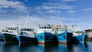 industrial fishing boats